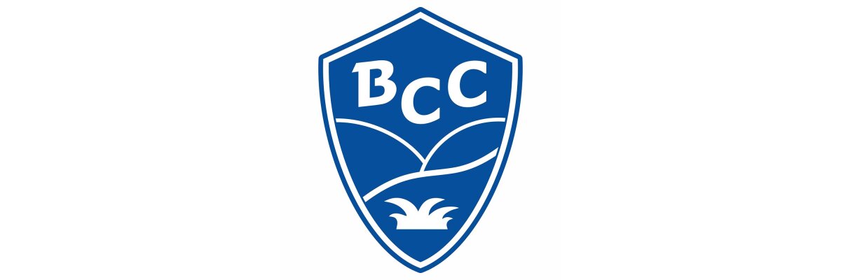 Brachwitzer Carnevals Club