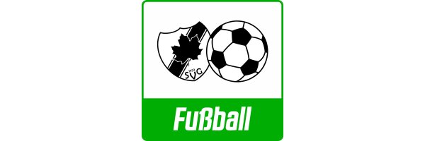 Fußball