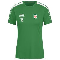 Trikot Power KA