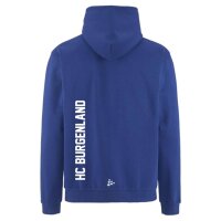 Community 2.0 Logo FZ Hoodie