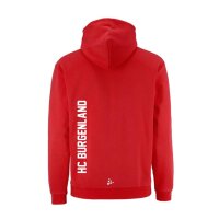 Community 2.0 Logo FZ Hoodie