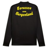 teamGOAL 1/4-Zip Trainings-Top