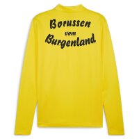 teamGOAL 1/4-Zip Trainings-Top