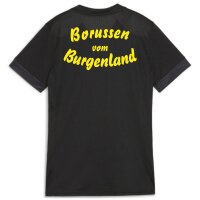 teamGOAL Matchday Trikot