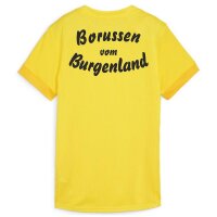 teamGOAL Matchday Trikot