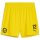 teamGOAL Shorts