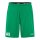 Evolve 2.0 Shorts