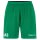 Evolve 2.0 Shorts