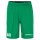 Evolve 2.0 Shorts
