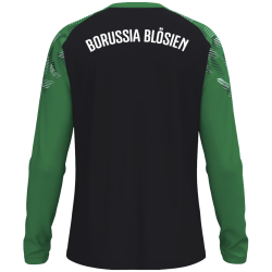 Longsleeve Sonic