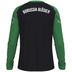 Longsleeve Sonic